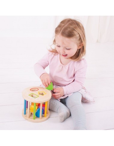 Bigjigs medinė formų rūšiuoklė - Mediniai lavinamieji žaislai vaikams