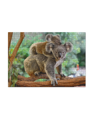 Dodo dėlionė Koalos - Dėlionės suaugusiems