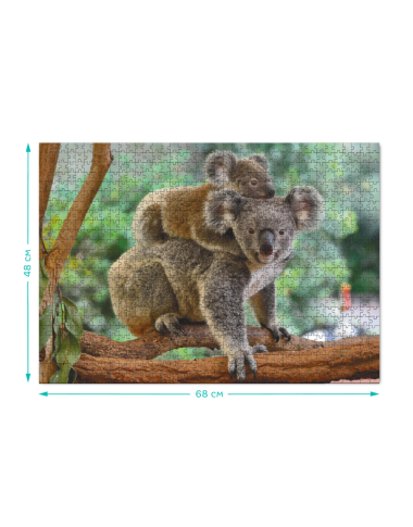 Dodo dėlionė Koalos - Dėlionės suaugusiems