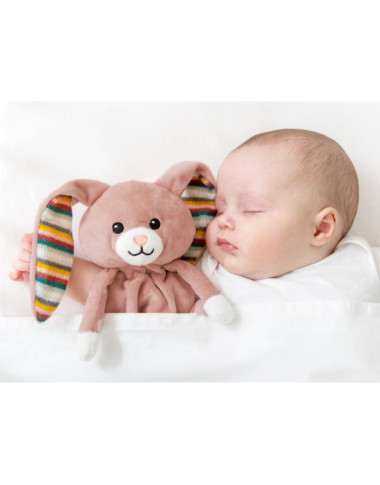 Miego rinkinys kūdikiams Miegančios boružėlės