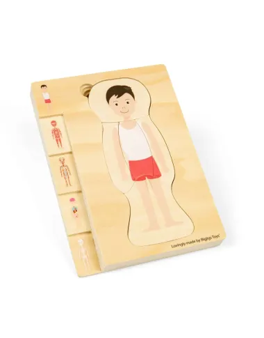 Medinė žmogaus anatomijos dėlionė Berniukas su kūno sluoksniais.