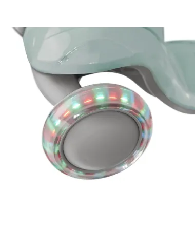 Vanilla Copenhagen vaikiškas paspirtukas, Fern